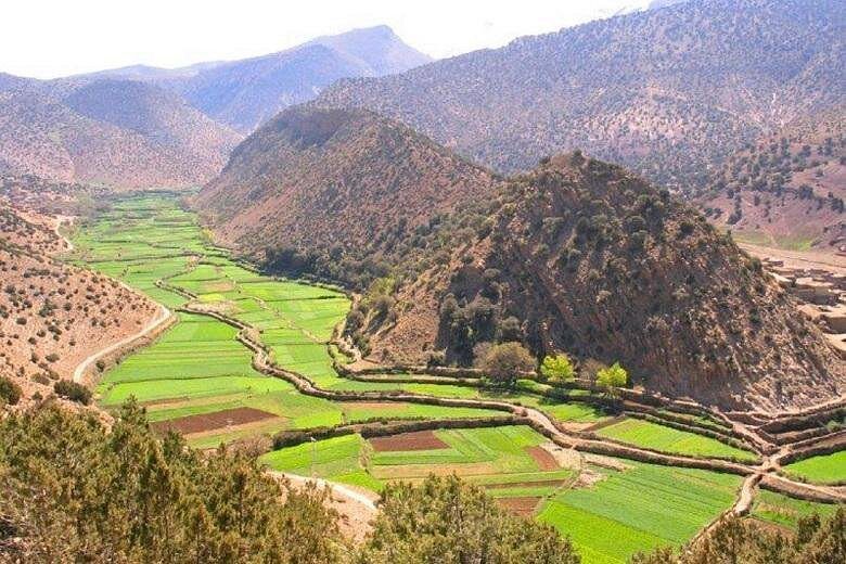 10 Day Classic Tour - Casablanca > Casablanca