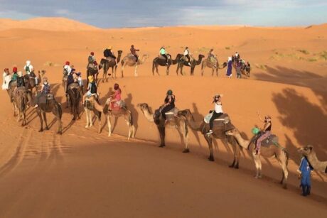 6 Days Marrakesh City and Berber Trail Tours