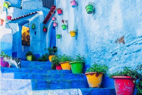 10 Day Classic Tour - Casablanca > Casablanca