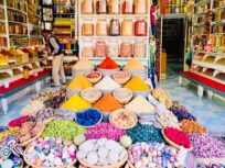 Day Trip - Rabat to Marrakesh