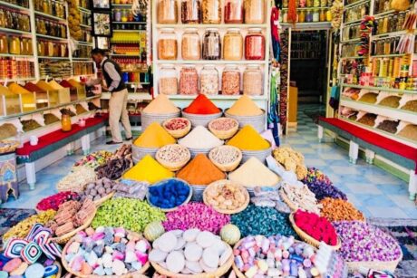 Day Trip - Rabat to Marrakesh